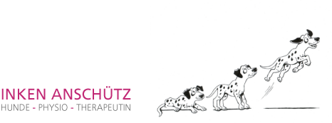 Logo fellnasentreff - Hundephysiotherapie
