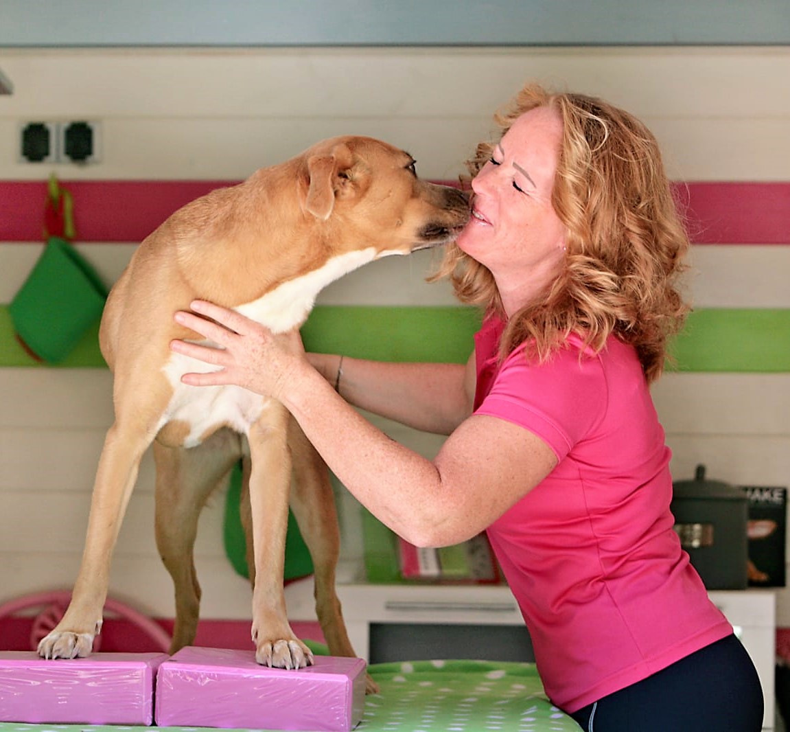 Fellnasentreff Fulda Hundephysiotherapie Hund küsst Therapeutin